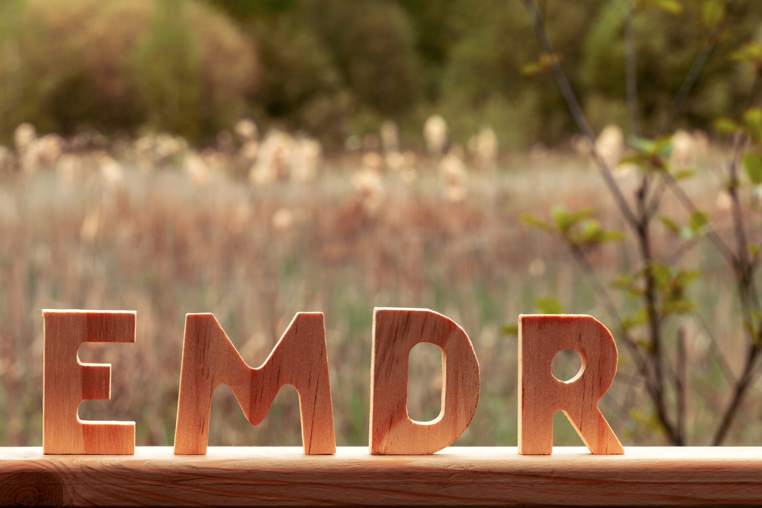 Letters,Emdr,Cut,Out,Of,Wood.,Small,Forest,Pond,With