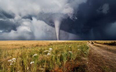 Tornadoes, Broken Arms, and Betrayal